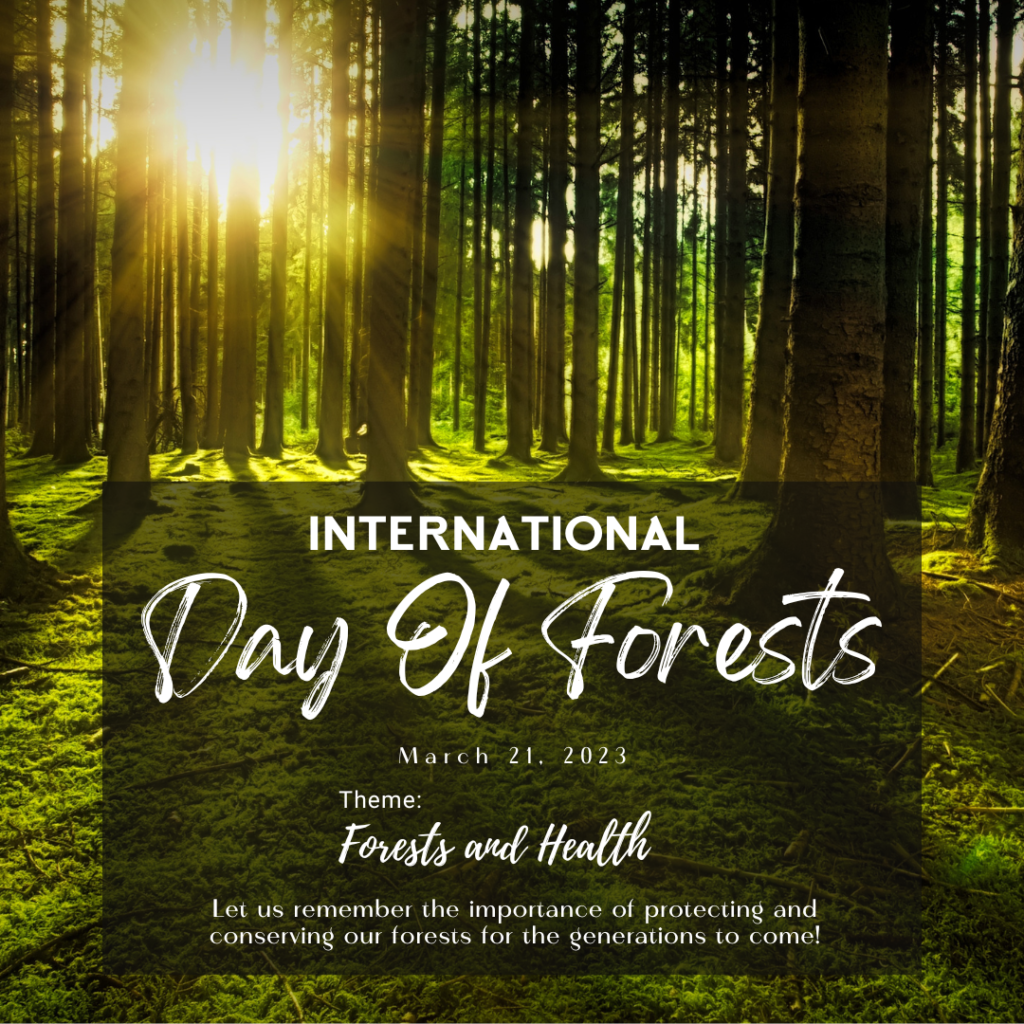 NCCF celebrates the International Day of Forests on this 21st March 2023