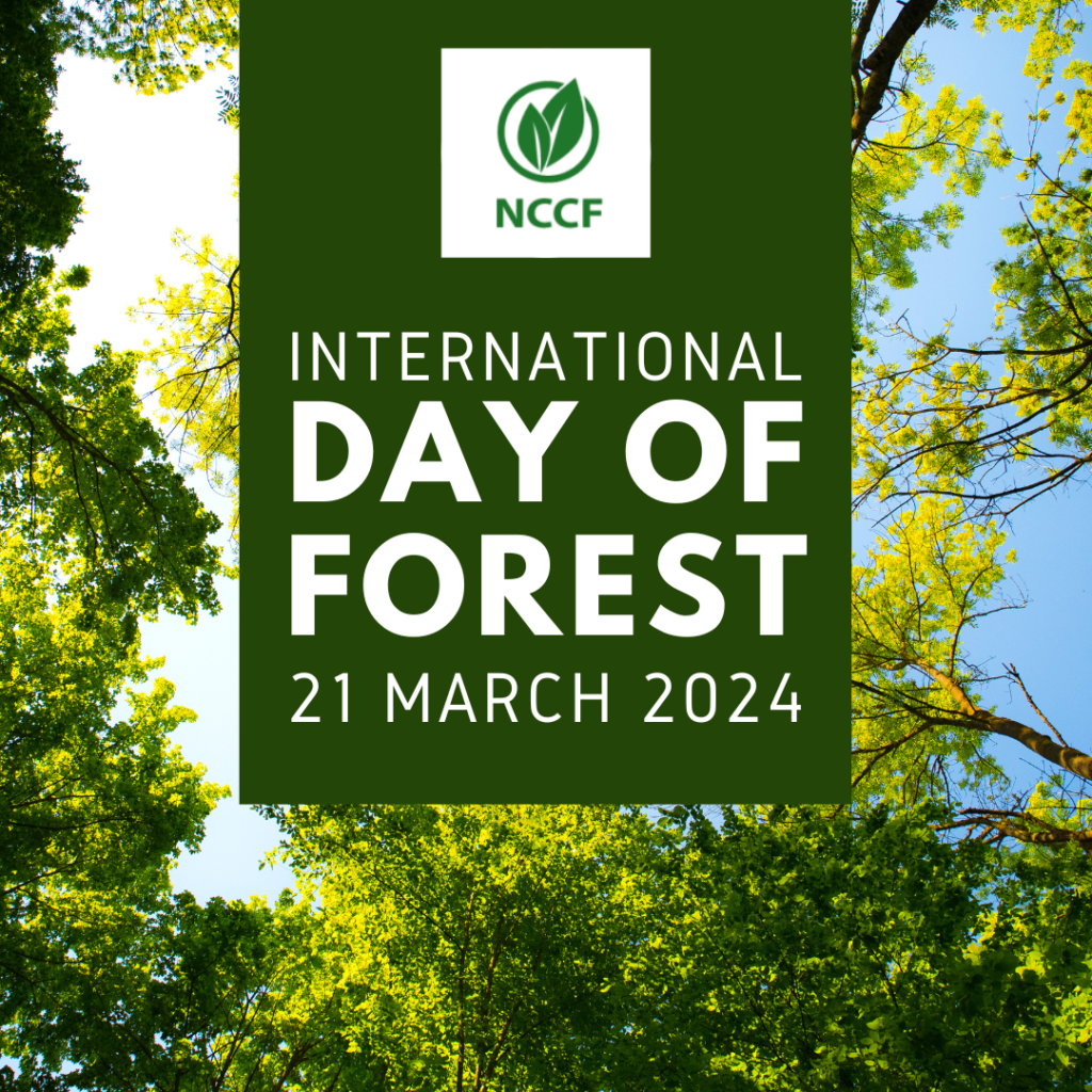 International-Day-Of-Forest