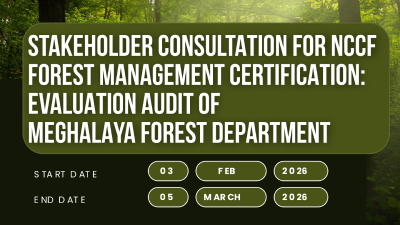 Stakeholder-consultation